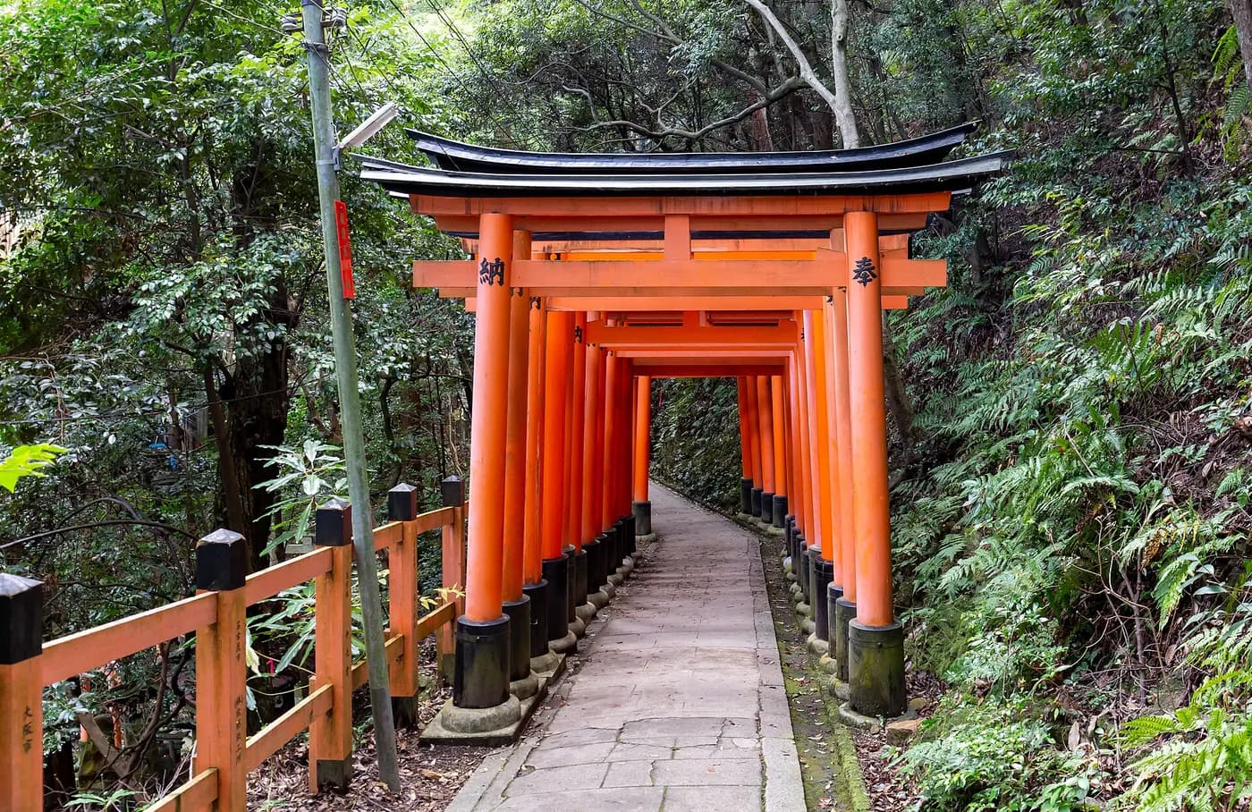 Kyoto Öne Çıkanlar Turu - 3