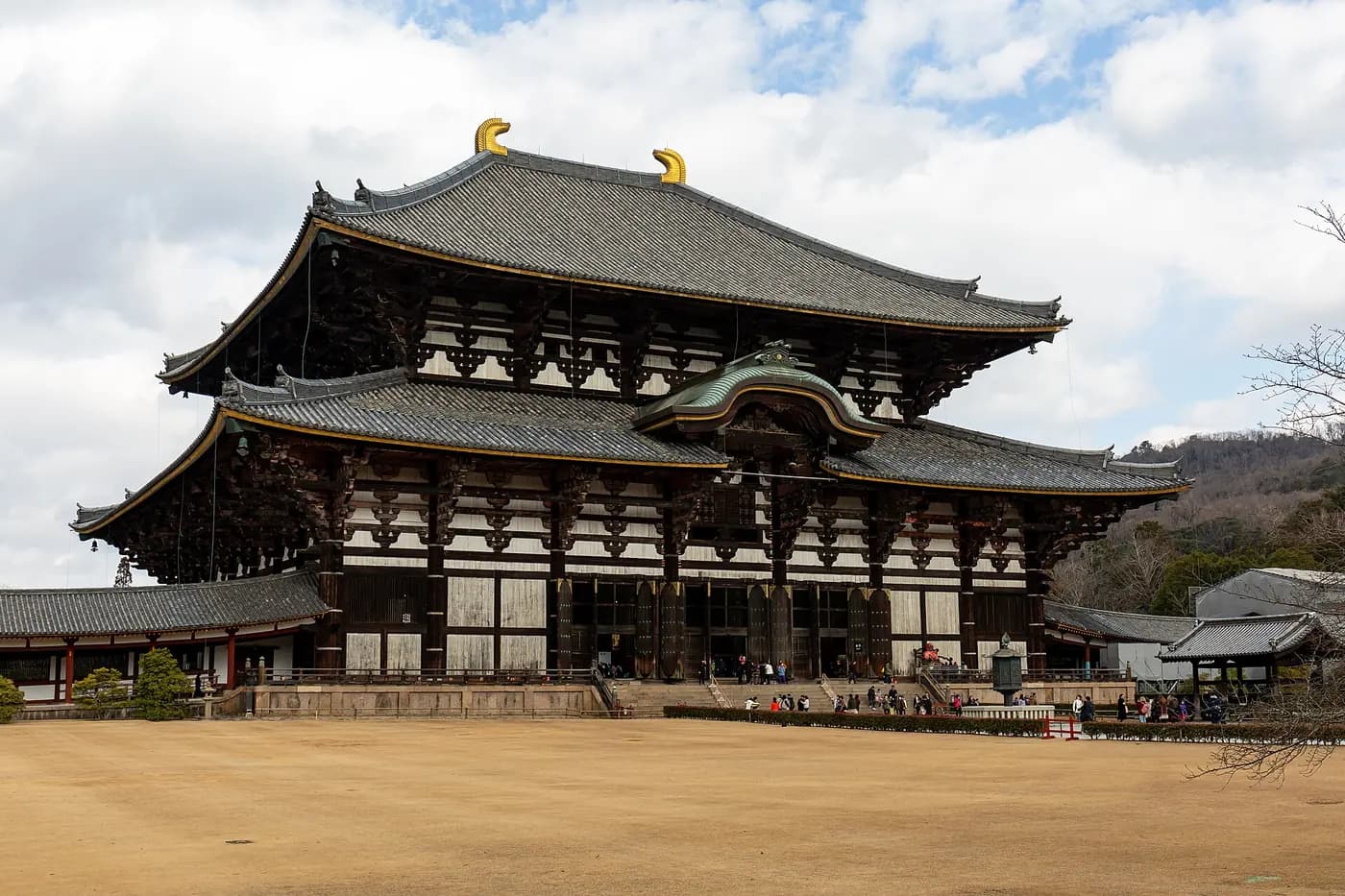 Nara'da Sumo Deneyimi