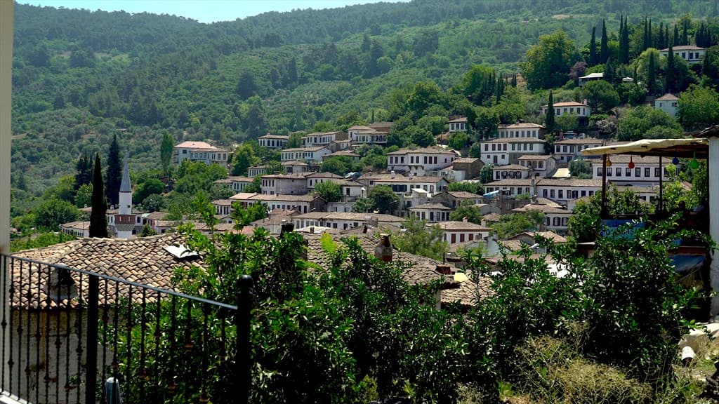 İzmir'de Özel Yarım Gün Rehber ve Araç - 2